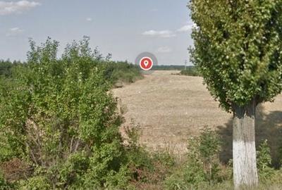 Teren intravilan 80975 mp in Crevedia - 3