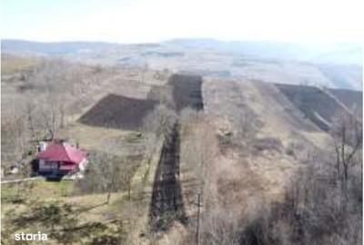 Teren de 2304 mp, în Zăpodeni - 2