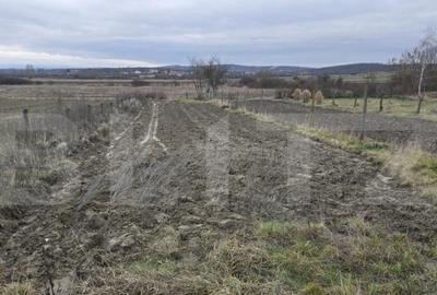 Teren de 1996 mp, în Viile Satu Mare - 10