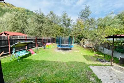 Casa de vacanta Rau Sadului - 6