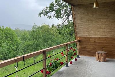 Izvoarele, Valeni de Munte, Prahova - 5