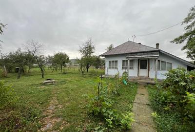 Erbiceni Podu Iloaiei teren 1300 mp utilitati Intravilan - 2