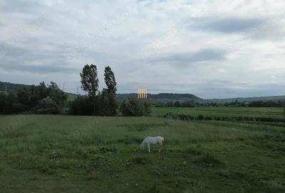 Teren de 3953 mp, în Fălticeni - 1