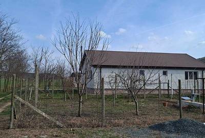 Teren de 90000 mp, în Peștera - 1