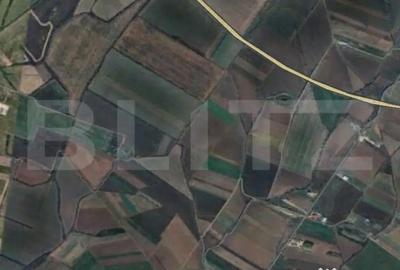 Teren de 11600 mp, în Remetea Mare