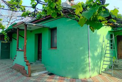 Casa de vanzare Arad - 2