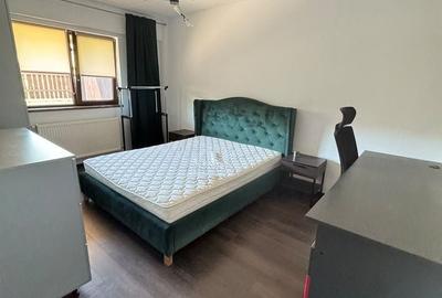Apartament cu 3 camere decomandat în Ciurea - 8