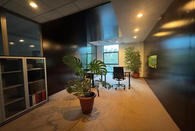 SPATIU DE BIROURI | SPLAIUL UNIRII | 7 locuri de parcare - 19
