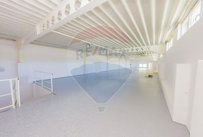 LUX! De inchiriat SPATIU COMERCIAL cu birouri, magazie si acces TIR - 31