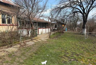 Casă cu 4 camere în Tăriceni - 7