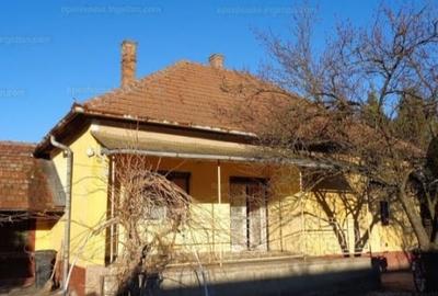 Casă individuală cu 3 camere în Avram Iancu