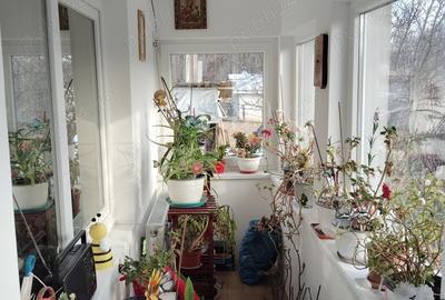 Casa si teren in natura - 6