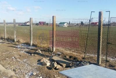 Teren Construcții intravilan de 15750 mp, în Balotești - 5