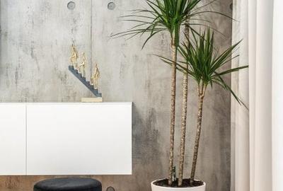 Apartament exclusivist 2 camere | Luxuria Domenii Residence - 6