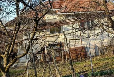 Casă cu 3 camere în Licurici - 1