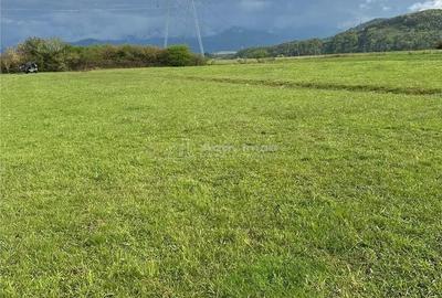 Teren de 2300 mp, în Central - 3