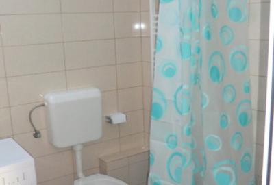 Apartament cu o camera Buziasului Apartament cu o camera Buziasului - 5