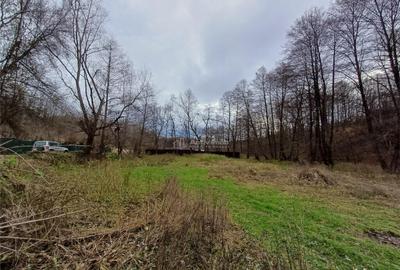 Teren de 1308 mp, în Govândari - 19