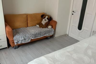 Apartament cu 2 camere decomandat în Nufărul
