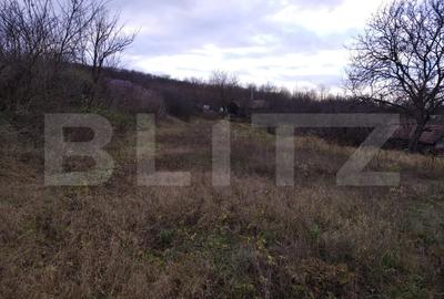 Casa individuala 55 mp, cu teren 2460 mp, Cojocna - 4