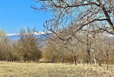 Casă cu Teren 2500 Mp în Central - 5
