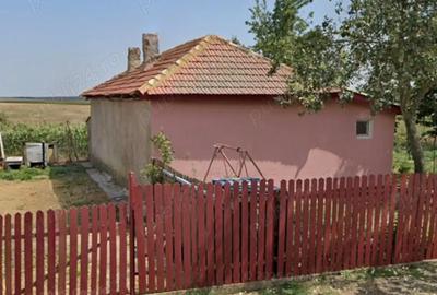 Casa judetul Constanta - 5