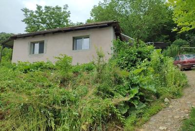 Casă cu 2 camere cu Teren 7650 Mp în Central - 1