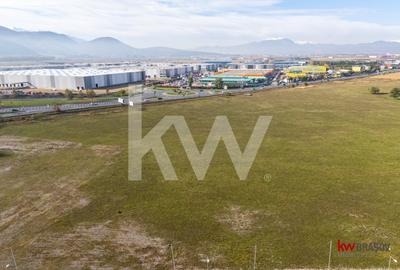 Vanzare teren 5337 mp Bartolomeu zona CATTIA - 2