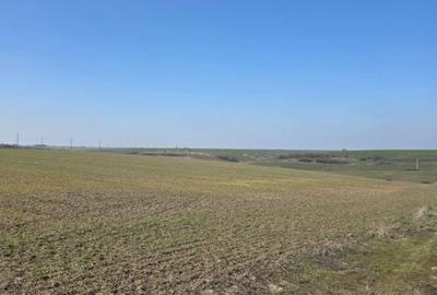 Spațiu comercial, în Mlecănești