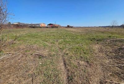 Teren Construcții intravilan de 2928 mp, în Geamăna - 1