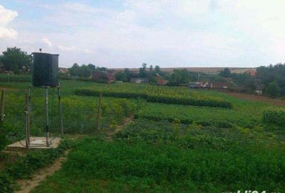 Casă cu 5 camere cu Teren 2300 Mp în Săcueni - 5