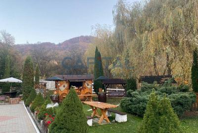 Vila cu piscina la munte, Arges - 4