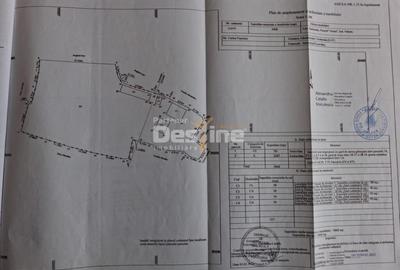 Casă cu 3 camere cu Teren 3000 Mp în Central - 9