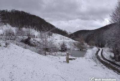 Casa de vacanta, cu lac, 5640 mp teren, Huta, com. Chiuiesti, jud. Cluj Casa de vacanta, cu lac, 5640 mp teren, Huta, com. Chiuiesti, jud. Cluj - 52
