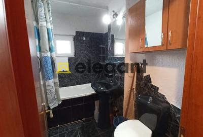 Apartament cu 2 camere semidecomandat, mobilat în Brazda lui Novac - 6