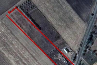 Teren de 4500 mp, în Crâng - 5