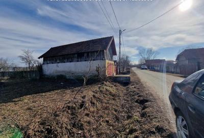 Teren Intravilan (1400 mp), situat in Telesti - 4