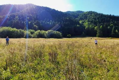 Spațiu comercial, în Brateș - 1