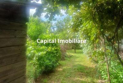 Casă cu Teren 1280 Mp în Central