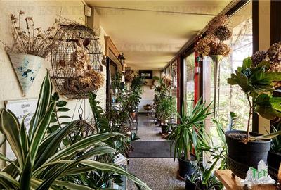 Spațiu comercial, de 37 mp, în Km 4-5 - 15