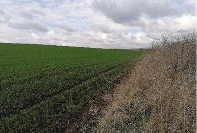 Teren extravilan Tiganasi, cota parte 1/5, ID: R2822453 - 3