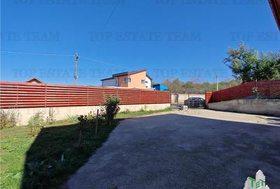 Vila 4+ camere, iaz cu peste, livada, 5300 mp teren, foisor, pivnta si crama, in - 19
