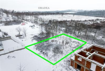 RECO, Teren intravilan cu aviz de oportunitate, Zona lacului, Paleu - 3