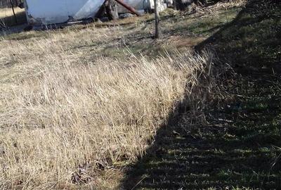 Casă cu 3 camere în Păduroiu din Vale - 5