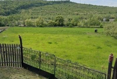 Teren Construcții intravilan de 3150 mp, în Mălini - 2