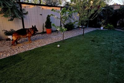 Casă cu 2 camere în Central - 3