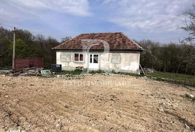 Casă cu 3 camere în Rontău - 14