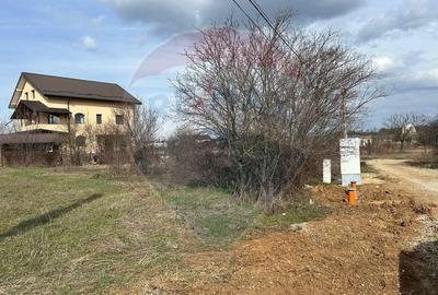 Teren Construcții intravilan de 700 mp, în Izvorani - 6
