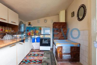 Casa si teren 3365mp Sascut - 1