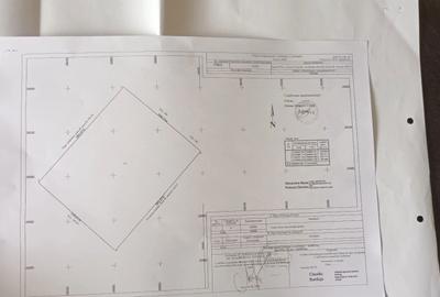 Teren de 66000 mp, în Dascălu